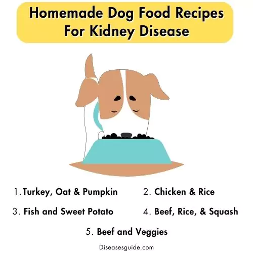 homemade dog food recipes for kidney disease