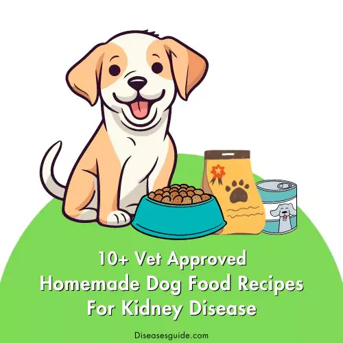 vet approved homemade dog food recipes for kidney disease