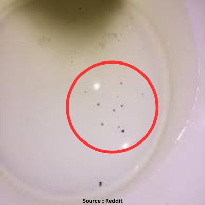black specks in urine after drinking alcohol