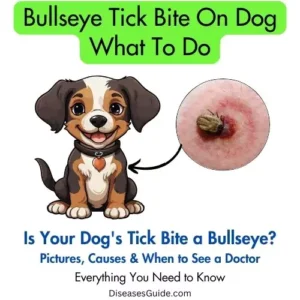 Bullseye Tick Bite On Dog What To Do