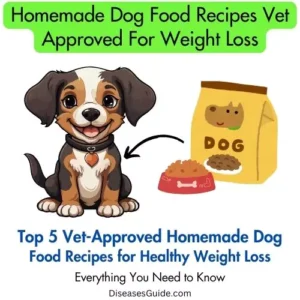 Homemade Dog Food Recipes Vet Approved For Weight Loss