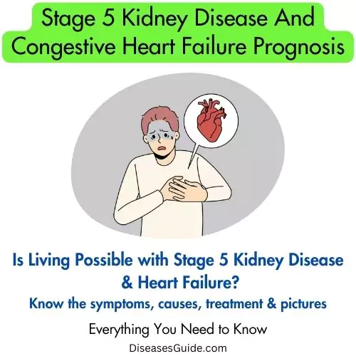 Stage 5 Kidney Disease And Congestive Heart Failure Prognosis